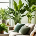 The Role of the Best Air Purifying House Plants in Maintaining Freshness After Duct Sealing in Miami Beach FL